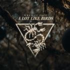 A Lot Like Birds - When In Love (Feat Geoff Rickly)