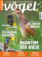 Voegel - Magazin fuer Vogelbeobachtung 85/2025