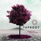 Taproot-Best of Besides-24BIT-48KHZ-WEB-FLAC-2023-FLACCiD