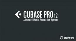 Steinberg Cubase Pro v12.0.50 (x64)