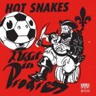 Hot Snakes-Audit in Progress-REMASTERED-24BIT-96KHZ-WEB-FLAC-2018-FLACCiD