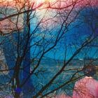 Idlewild - - Idlewild  