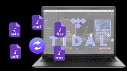 Pazu Tidal Music Converter v1.7.1 (x64)