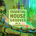 Nothing But -  Essential House Grooves, Vol  01