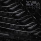 Swarm Intelligence - Radiance EP
