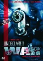 Undeclared War