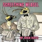 Screeching Weasel-My Brain Hurts-REMASTERED-24BIT-96KHZ-WEB-FLAC-2025-FLACCiD
