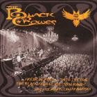 The Black Crowes - Freak 'N' Roll - Into the Fog: The Black Crowes All