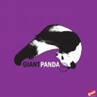 Giant Panda-With It-16BIT-WEB-FLAC-2005-LSM