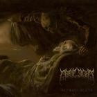 Grave Sight - Beyond Death