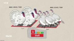 WDR.Markt.2025-04-16.GERMAN.DOKU.HDTV.x264-ConNi
