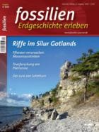 FOSSILIEN - Erdgeschichte erleben 05/2025