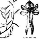 Taro Nohara - Poly-Time Soundscapes  Forest Of The Shrine