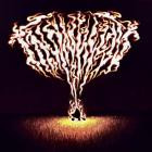 femtanyl - MAN BITES DOG