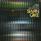 Wide Scope Protocol - Swan Cake
