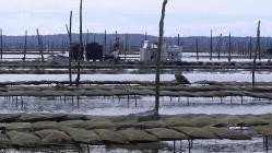 MareTV.E249.Das.Bassin.von.Arcachon.-.Frankreichs.Traumbucht.am.Atlantik.GERMAN.DOKU.WS.HDTVRip.x264-Goodboy