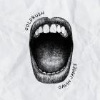 Gavin James - Goldrush