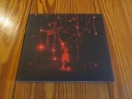 Sophie Hunger - The Danger of Light  