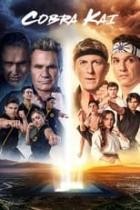 Cobra Kai - Staffel 6