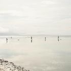 Giuseppe Ielasi and Riccardo D  Wanke - with time, we learned to ask less