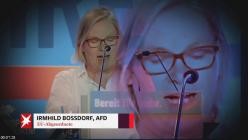 stern.Investigativ.Inside.Lukreta.2025.German.DOKU.WEB.x264-CLASSiCAL