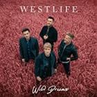 Westlife - Wild Dreams (Deluxe Edition)