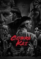 Cobra Kai - Staffel 2