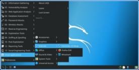 Kali Linux 2024.3 (x64)