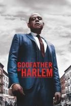 Godfather of Harlem - Staffel 1