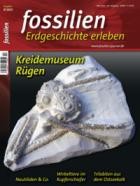 FOSSILIEN - Erdgeschichte erleben 03/2023