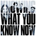 Marmozets-Knowing What You Know Now-24BIT-96KHZ-WEB-FLAC-2018-FLACCiD