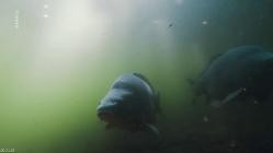 Eintauchen.ins.tiefe.Blau.E02.Unsere.Seen.im.Norden.GERMAN.DOKU.WS.HDTVRip.x264-Goodboy