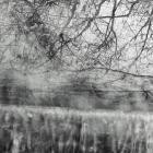 Reggy Van Oers - Archives