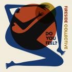 Fireside Collective - Do You Feel