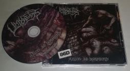Limbless-Mutilated and Dismembered- NSE120-01 -CDEP-FLAC-2025-86D