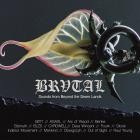 VA-Sounds from Beyond the Seven Lands- BRVDIGI007 -16BIT-WEB-FLAC-2025-TR