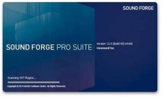 Magix Sound Forge Pro Suite v13.0.0.131 (x64) Portable