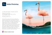 Adobe Photoshop 2021 v22.5.0.384 (x64)