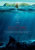 The Shallows - Gefahr aus der Tiefe