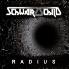 Schwarzschild - RADIUS