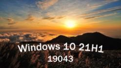 Microsoft Windows 10 Pro 21H1 Build 19043.1023 (x64)