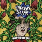 The Story So Far - What You Dont See
