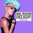 VA - Big Room Delight Vol 2