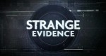 Strange Evidence - Nebel des Grauens