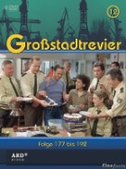 Grossstadtrevier - Staffel 12