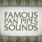 Ricardo Caliente - Famous Pan Pipe Sounds