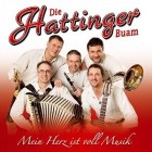 Die Hattinger Buam - Mein Herz Ist Voll Musik