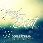 Don Esteban - Pennies From Heaven