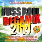 Fussball Megamix 2014