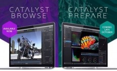 Sony Catalyst Browse Suite 2019 v2.2